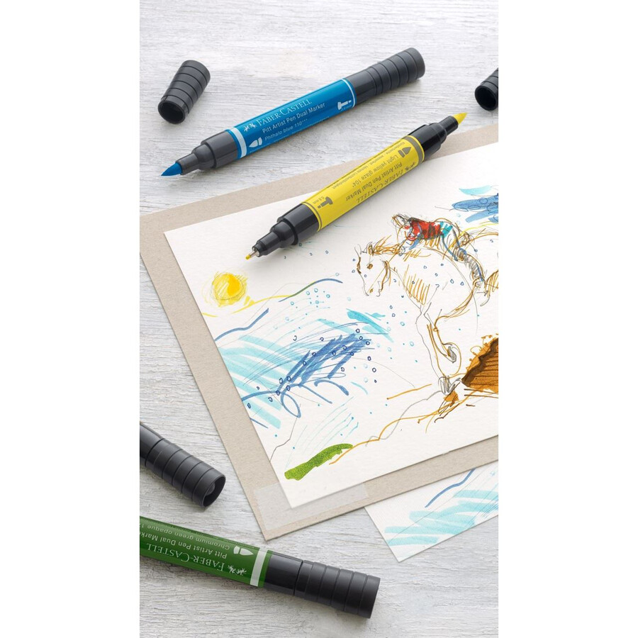 pitt artist pen dual marker india tusch