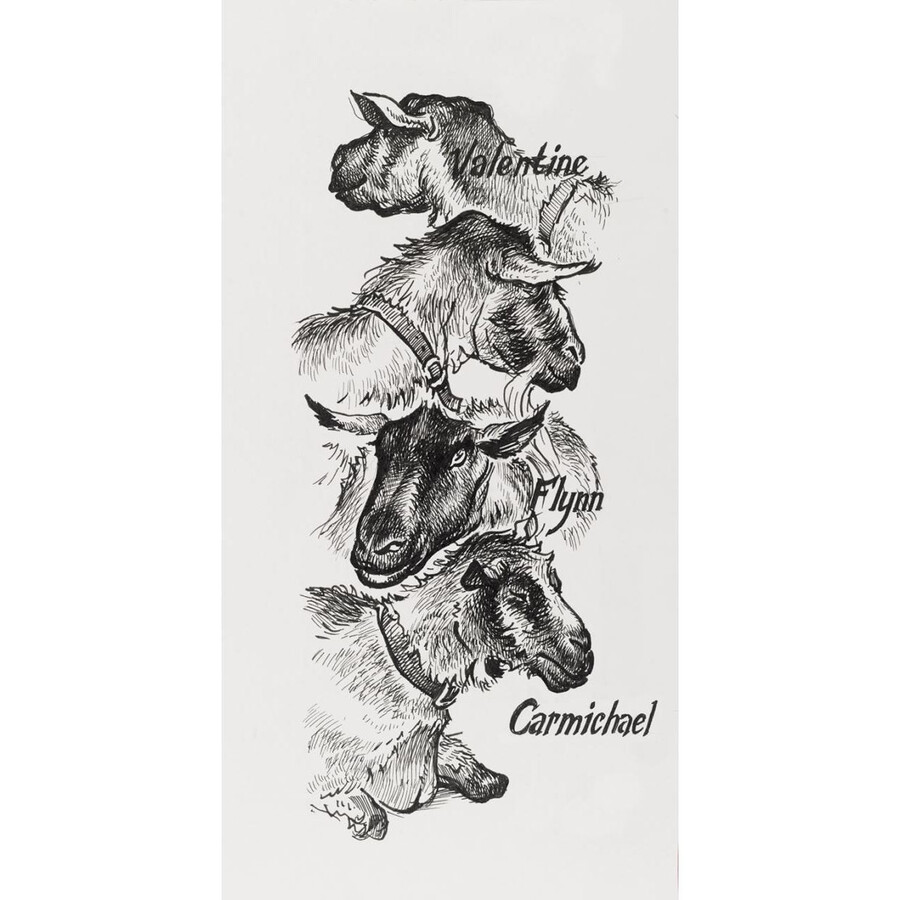 pitt artist pen india tuschpen