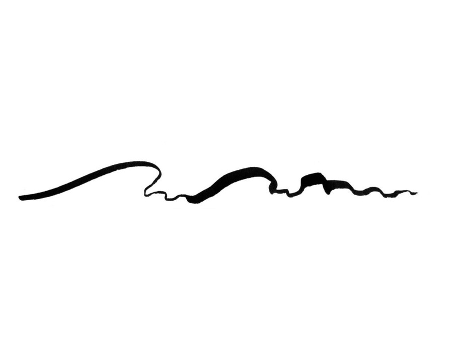 pitt artist pen brush india ink pen